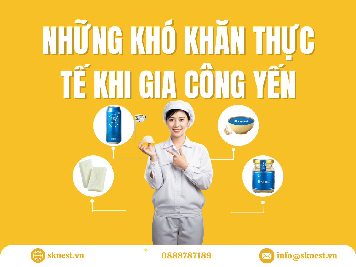gia công yến sào, gia công tổ yến, gia công yến, nhà máy gia công yến, gia công yến trọn gói, gia công nước yến, gia công yến xuất khẩu, gia công yến oem, gia công yến odm, đơn vị gia công yến uy tín, gia công yến theo yêu cầu, gia công yến chuẩn iso, gia công yến đạt haccp, gia công yến không rủi ro pháp lý, gia công yến xuất khẩu trung quốc
