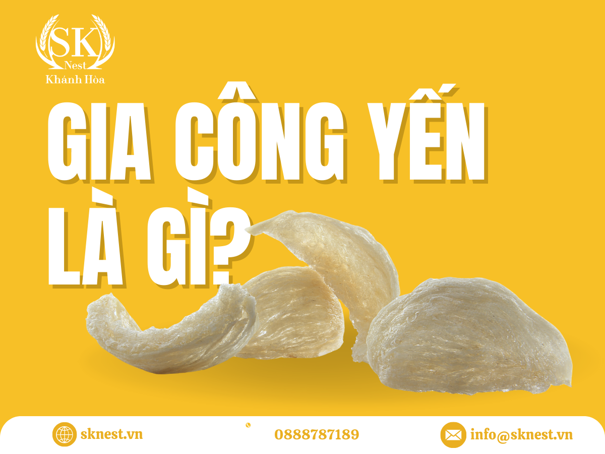 gia công yến sào, gia công tổ yến, gia công yến, nhà máy gia công yến, gia công yến trọn gói, gia công nước yến, gia công yến xuất khẩu, gia công yến oem, gia công yến odm, đơn vị gia công yến uy tín, gia công yến theo yêu cầu, gia công yến chuẩn iso, gia công yến đạt haccp, gia công yến không rủi ro pháp lý, gia công yến xuất khẩu trung quốc