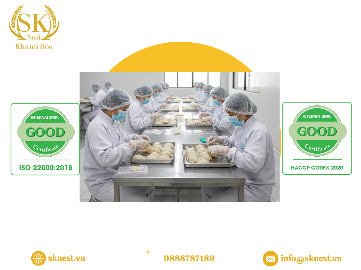 gia công yến sào, gia công tổ yến, gia công yến, nhà máy gia công yến, gia công yến trọn gói, gia công nước yến, gia công yến xuất khẩu, gia công yến oem, gia công yến odm, đơn vị gia công yến uy tín, gia công yến theo yêu cầu, gia công yến chuẩn iso, gia công yến đạt haccp, gia công yến không rủi ro pháp lý, gia công yến xuất khẩu trung quốc