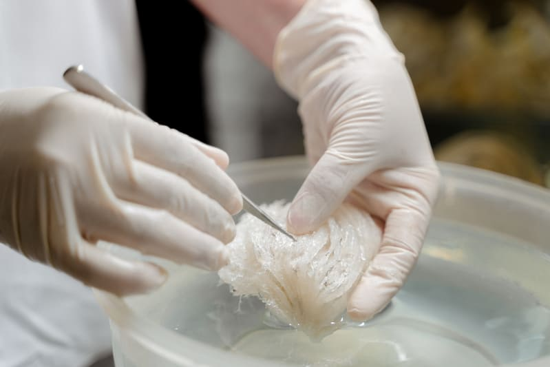 tổ yến sào, yến sào, tổ yến, yen sao, yến sào cao cấp, tổ yến thô, tác dụng của yến sào, yến việt, hộp yến sào, tổ yến sào yén sào, yen tinh che, yen sao khanh hoa