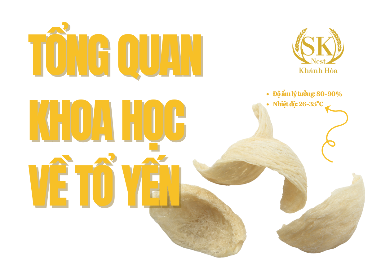 thành phần dinh dưỡng tổ yến, hàm lượng protein trong tổ yến, axit amin thiết yếu trong yến, yến sào bị pha trộn, tổ yến pha trộn phụ gia, nhận biết yến sào thật giả, chất pha trộn trong tổ yến, pcr phát hiện tổ yến, tổ yến nguyên chất là gì, yến sào giả có hại không, ftir tổ yến, gc ms kiểm nghiệm yến, gc-ms kiểm nghiệm yến, opls da trong kiểm soát chất lượng, opls-da trong kiểm soát chất lượng