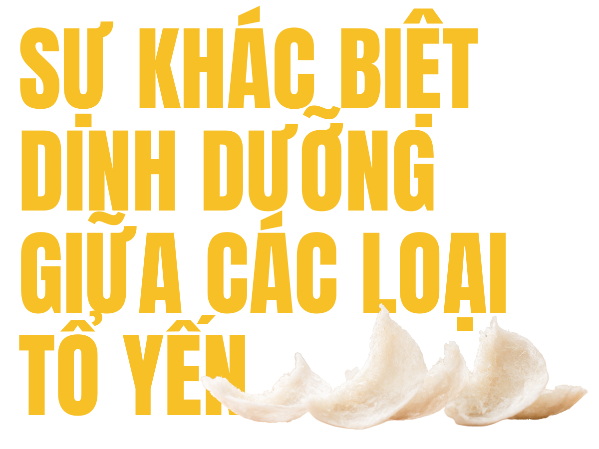 thành phần dinh dưỡng tổ yến, hàm lượng protein trong tổ yến, axit amin thiết yếu trong yến, yến sào bị pha trộn, tổ yến pha trộn phụ gia, nhận biết yến sào thật giả, chất pha trộn trong tổ yến, pcr phát hiện tổ yến, tổ yến nguyên chất là gì, yến sào giả có hại không, ftir tổ yến, gc ms kiểm nghiệm yến, gc-ms kiểm nghiệm yến, opls da trong kiểm soát chất lượng, opls-da trong kiểm soát chất lượng