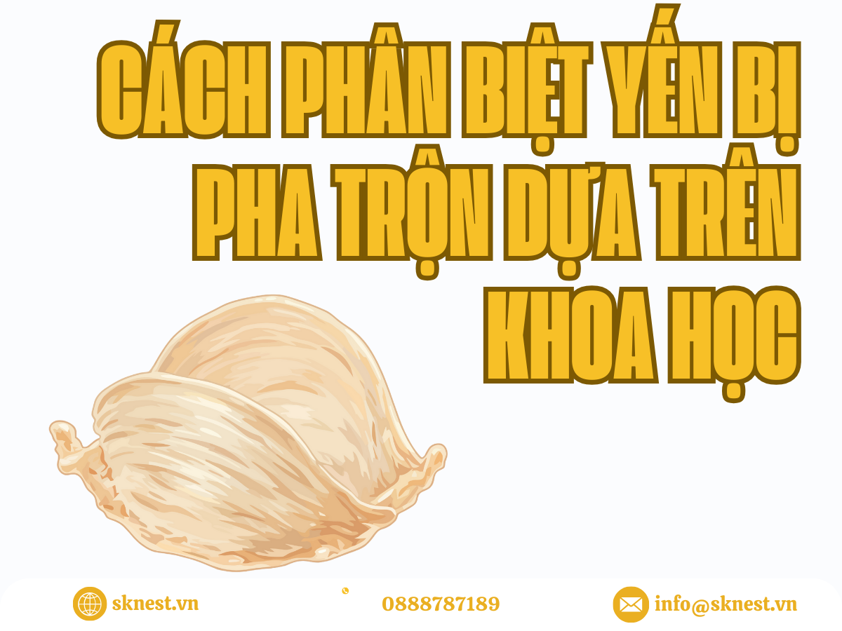 thành phần dinh dưỡng tổ yến, hàm lượng protein trong tổ yến, axit amin thiết yếu trong yến, yến sào bị pha trộn, tổ yến pha trộn phụ gia, nhận biết yến sào thật giả, chất pha trộn trong tổ yến, pcr phát hiện tổ yến, tổ yến nguyên chất là gì, yến sào giả có hại không, ftir tổ yến, gc ms kiểm nghiệm yến, gc-ms kiểm nghiệm yến, opls da trong kiểm soát chất lượng, opls-da trong kiểm soát chất lượng