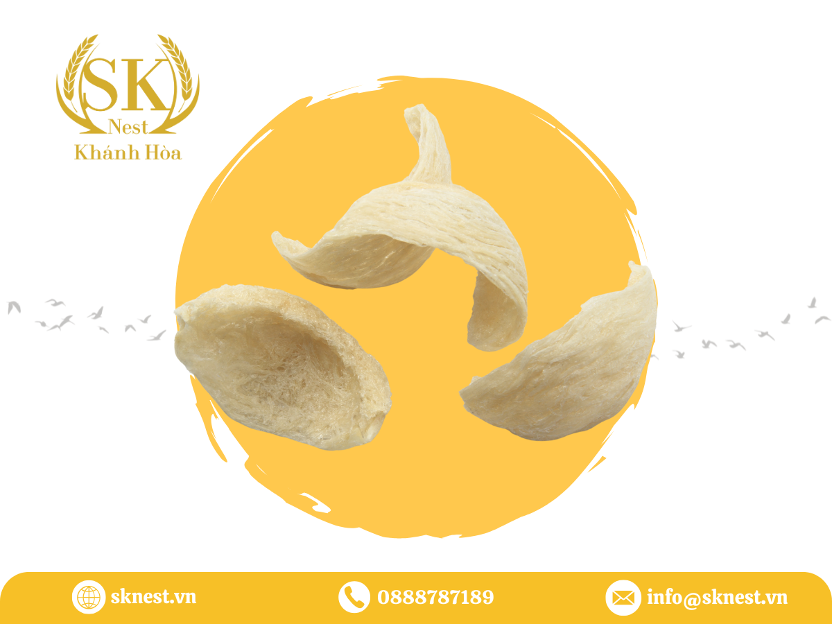 thành phần dinh dưỡng tổ yến, hàm lượng protein trong tổ yến, axit amin thiết yếu trong yến, yến sào bị pha trộn, tổ yến pha trộn phụ gia, nhận biết yến sào thật giả, chất pha trộn trong tổ yến, pcr phát hiện tổ yến, tổ yến nguyên chất là gì, yến sào giả có hại không, ftir tổ yến, gc ms kiểm nghiệm yến, gc-ms kiểm nghiệm yến, opls da trong kiểm soát chất lượng, opls-da trong kiểm soát chất lượng