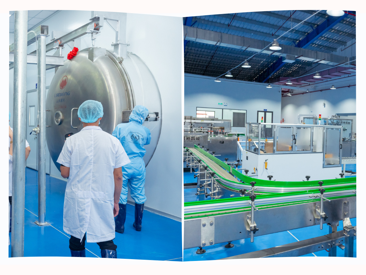 gia công yến sào, nhà máy gia công yến sào, OEM/ODM, gia ông yến sào OEM/ODM, yến sào, yến sào cao cấp, tổ yến sào, yến sào, tổ yến, yen sao, nước yến sào, yến sào cao cấp, mua yến sào, ISO, HACCP