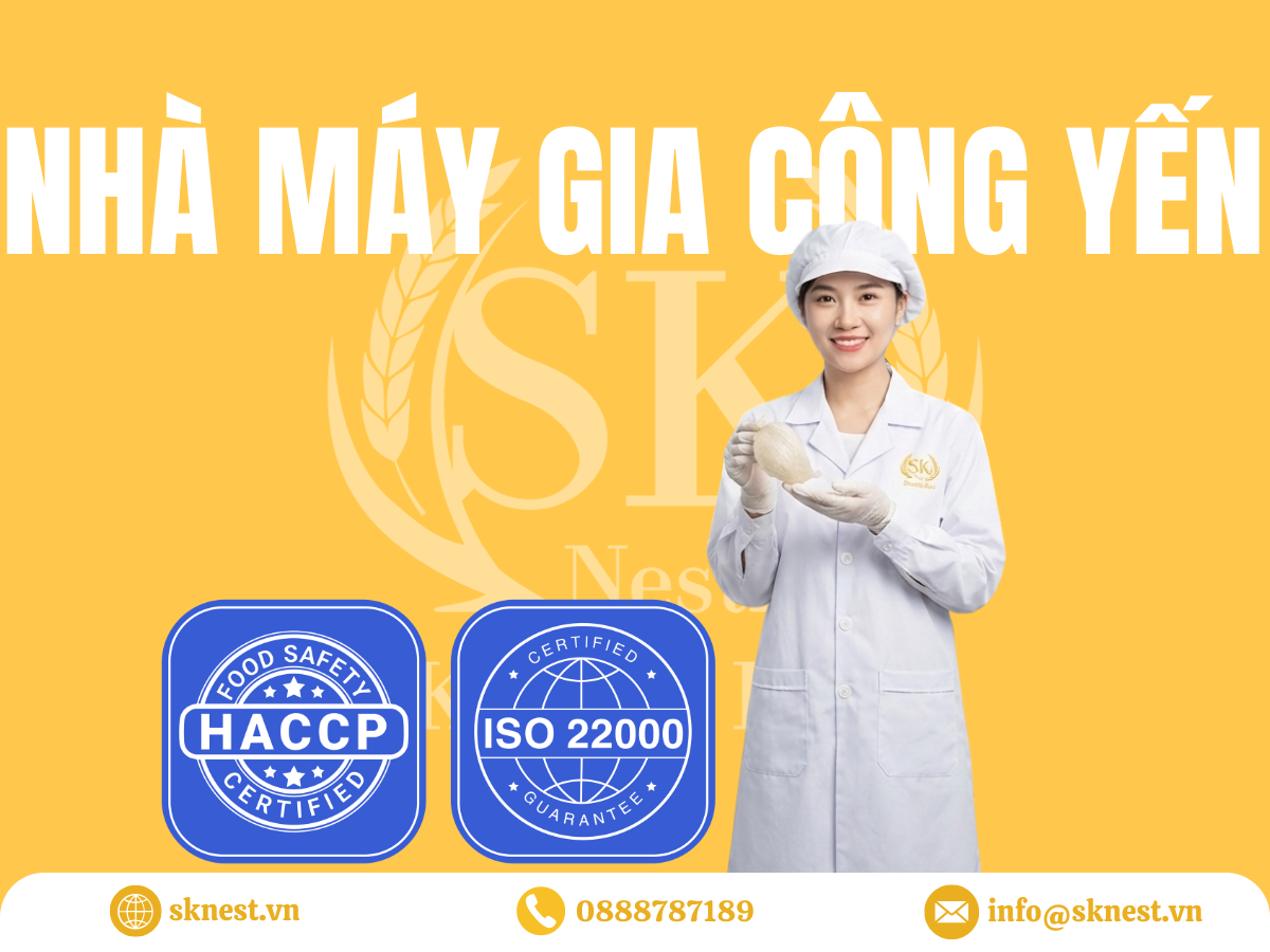 phương pháp đánh giá hàm lượng tổ yến, tiêu chuẩn đánh giá chất lượng nước yến, cách kiểm tra tổ yến thật trong nước yến, hàm lượng tổ yến trong nước yến đóng chai, nước yến đóng chai có bao nhiêu tổ yến, nhà máy gia công yến đạt chuẩn xuất khẩu, axit sialic trong tổ yến là gì, phương pháp phân tích axit sialic tổ yến