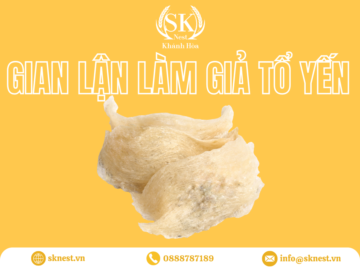 ngành công nghiệp tổ yến, xuất khẩu tổ yến, thương mại tổ yến, kinh tế ngành công nghiệp yến, kinh tế ngành yến, kinh tế tổ yến, ngành công nghiệp yến có giá trị bao nhiêu, giá trị kinh tế của tổ yến, tổ yến đóng vai trò gì trong nền kinh tế, thị trường tổ yến toàn cầu, kinh tế yến sào việt nam, phát triển bền vững ngành yến, nuôi yến bền vững, tổ yến và kinh tế đông nam á, rủi ro kinh tế ngành tổ yến, bảo tồn chim yến và kinh tế, thách thức kinh tế ngành yến