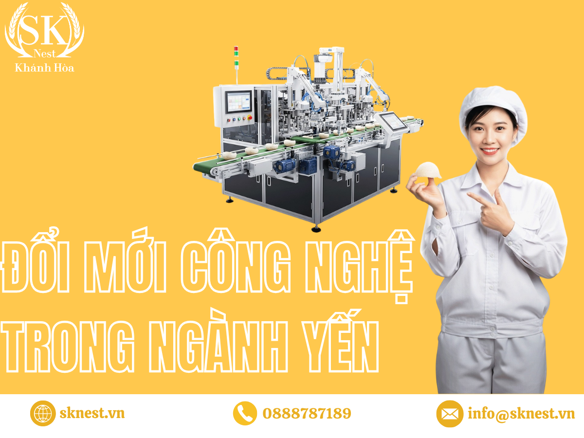 ngành công nghiệp tổ yến, xuất khẩu tổ yến, thương mại tổ yến, kinh tế ngành công nghiệp yến, kinh tế ngành yến, kinh tế tổ yến, ngành công nghiệp yến có giá trị bao nhiêu, giá trị kinh tế của tổ yến, tổ yến đóng vai trò gì trong nền kinh tế, thị trường tổ yến toàn cầu, kinh tế yến sào việt nam, phát triển bền vững ngành yến, nuôi yến bền vững, tổ yến và kinh tế đông nam á, rủi ro kinh tế ngành tổ yến, bảo tồn chim yến và kinh tế, thách thức kinh tế ngành yến