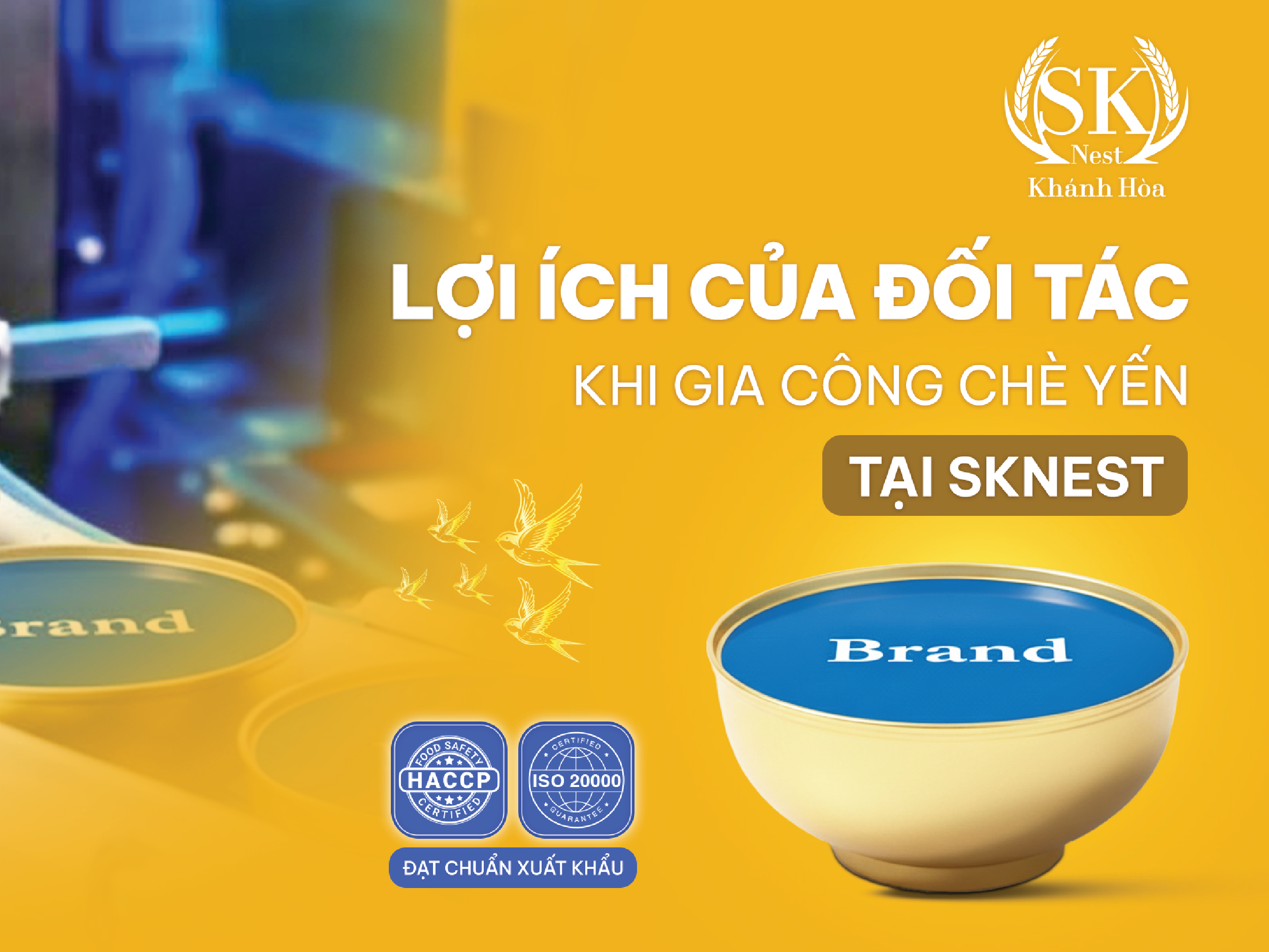 gia công chè yến, lợi ích của việc gia công chè yến, gia công yến sào, nhà máy gia công yến sào, OEM/ODM, gia ông yến sào OEM/ODM, yến sào, yến sào cao cấp, tổ yến sào, yến sào, tổ yến, yen sao, nước yến sào, yến sào cao cấp, mua yến sào, ISO, HACCP