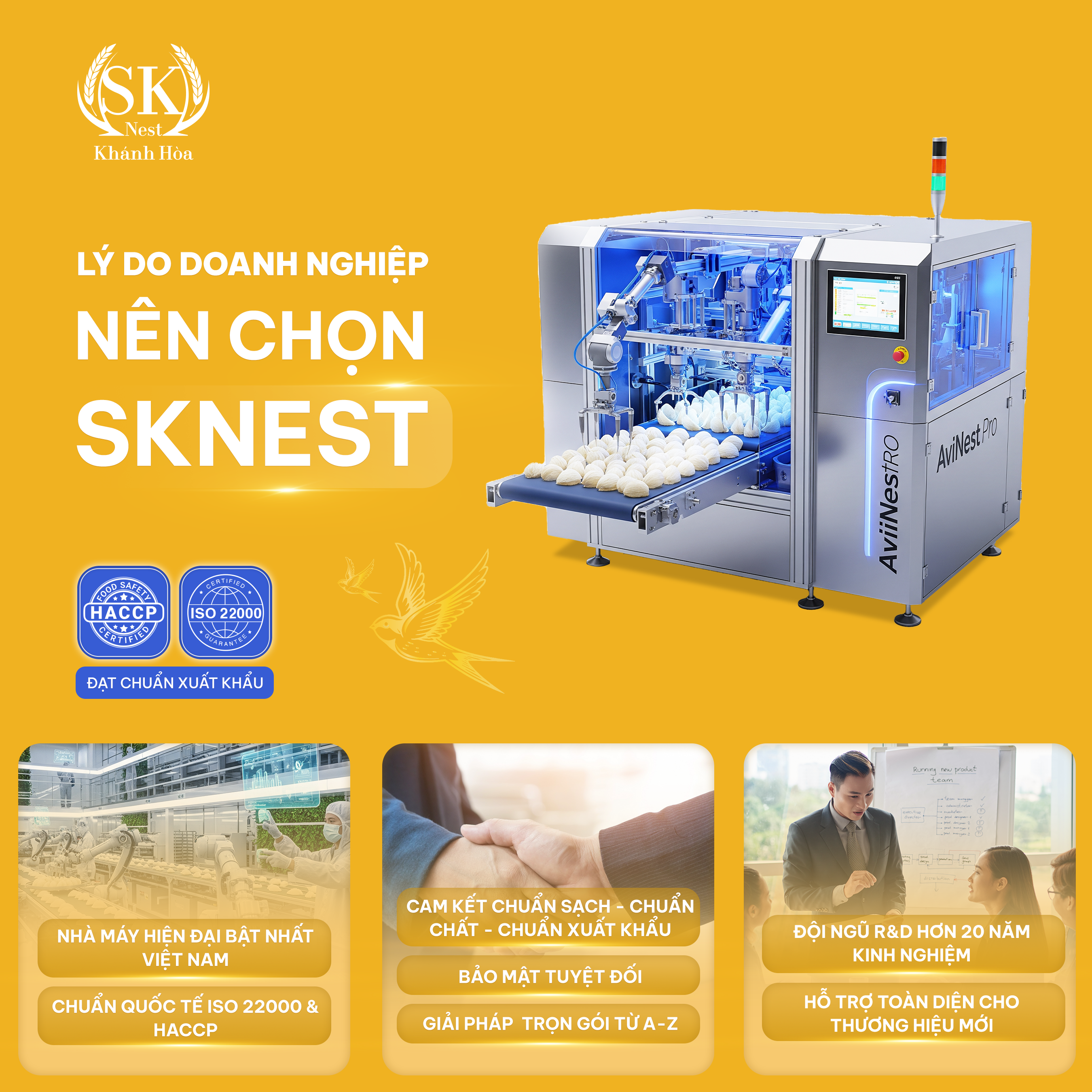 Cơ Hội Và Lợi Thế Của Thị Trường Yến Sào Việt Nam 2025 - 2026