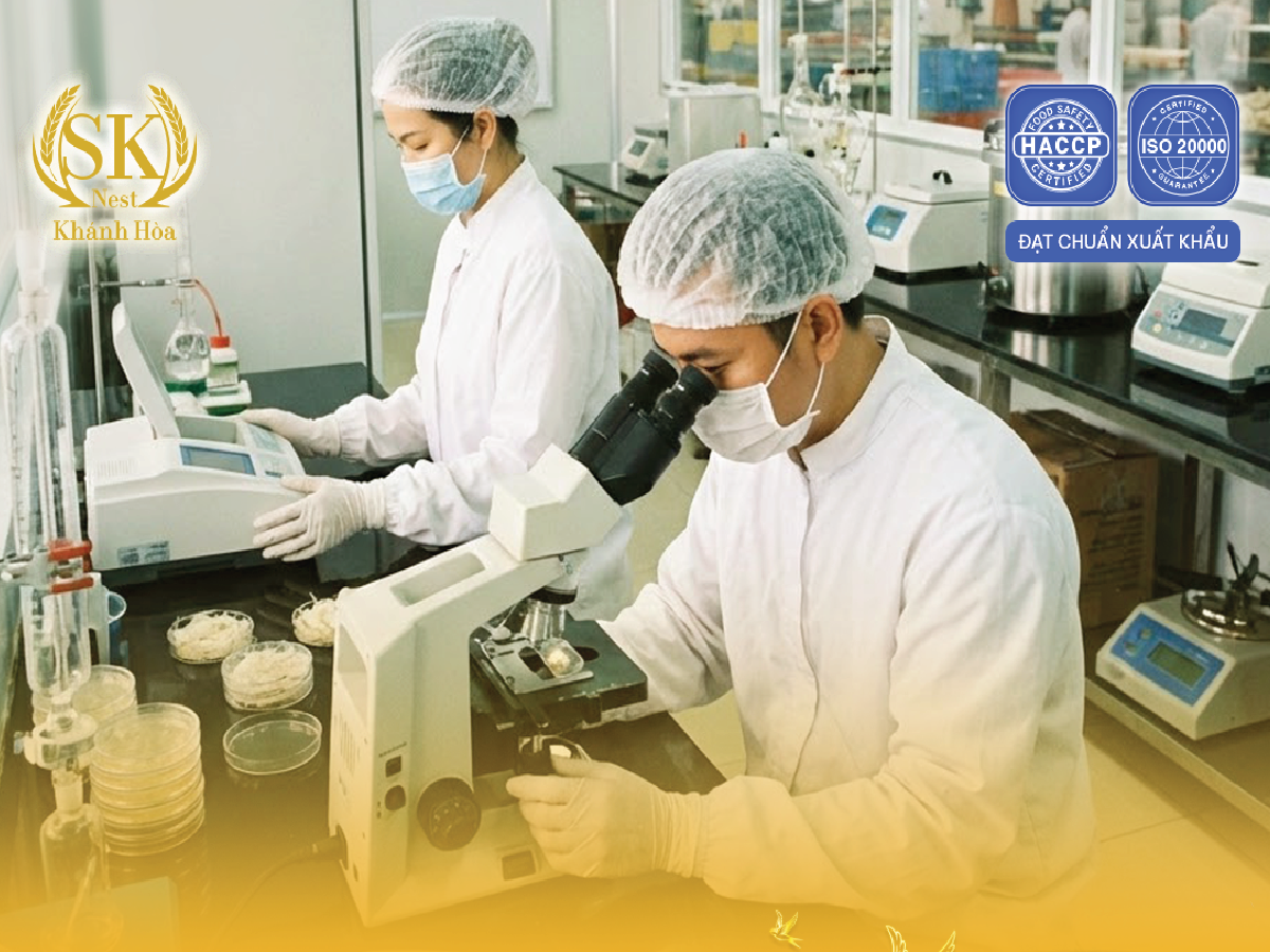 gia công yến sào gia công yến xưởng gia công yến sào gia công yến các loại gia công yến hủ gia công yến hũ gia công yến lọ