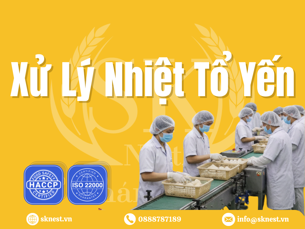 Xử Lý Nhiệt Tổ Yến: Cân Bằng Giữa An Toàn Vi Sinh Và Giá Trị Dinh Dưỡng
