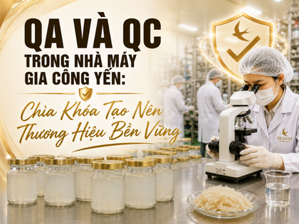 QA Và QC Trong Nhà Máy Gia Công Yến: Yếu Tố Bảo Vệ Chất Lượng Thương Hiệu 