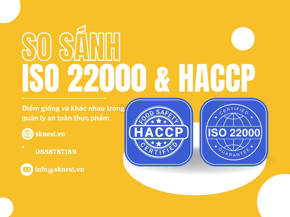 So sánh ISO 22000 và HACCP – Điểm giống và khác nhau trong quản lý an toàn thực phẩm