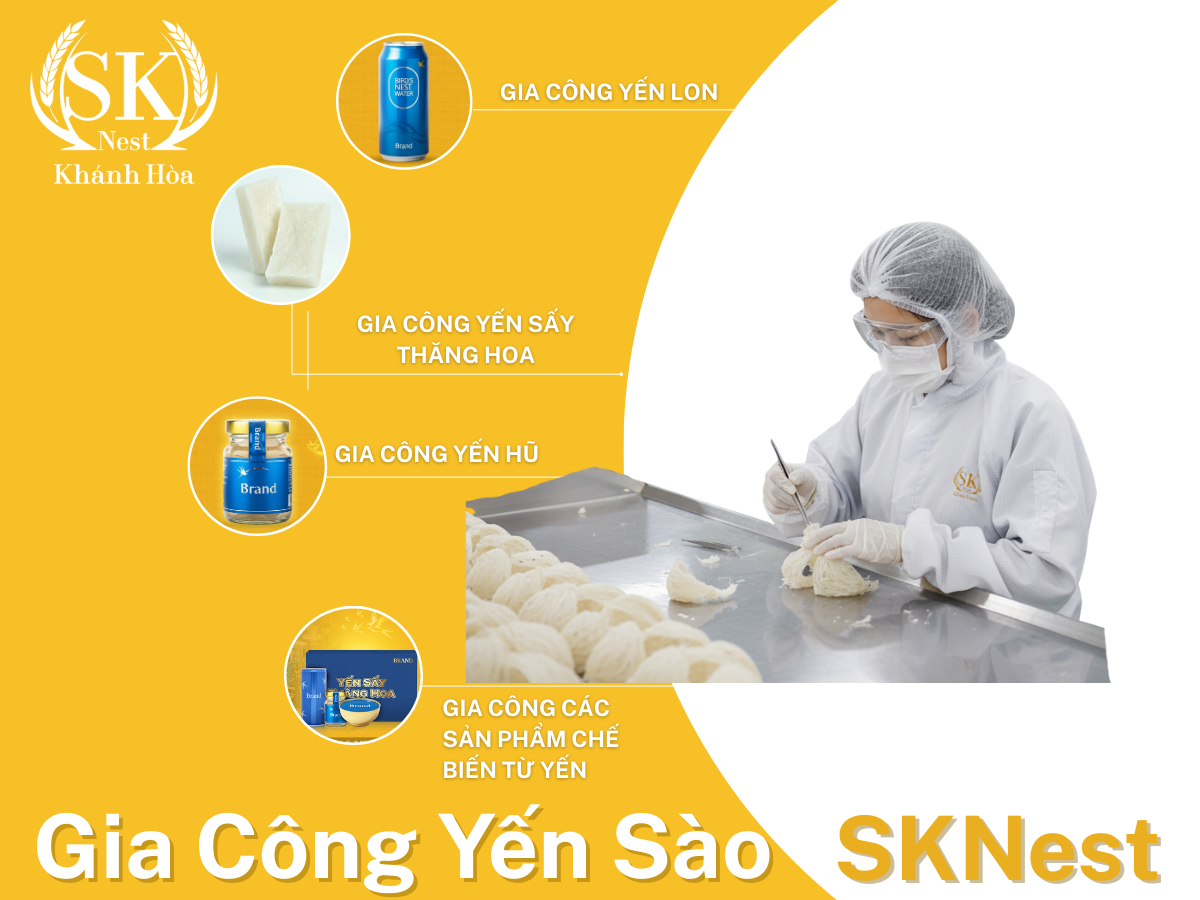 Gia Công Yến Sào SKNest – Nhà Máy Đạt Chuẩn ISO 22000 &HACCP