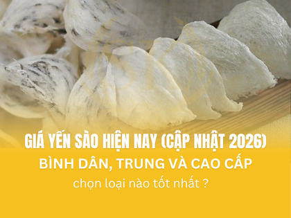 Giá Yến Sào Hiện Nay (Cập Nhật 2026): Phân Khúc Bình Dân – Trung – Cao Cấp, Nên Chọn Loại Nào Tốt Nhất?