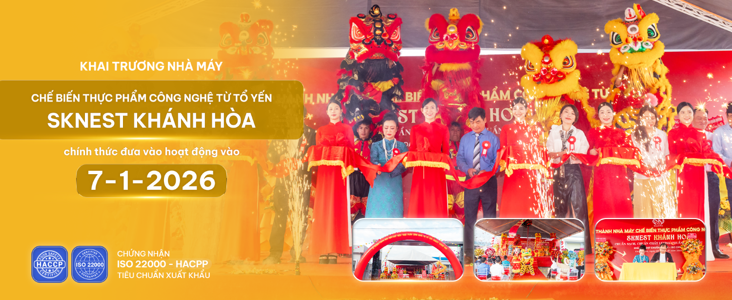 Khai trương nhà máy
