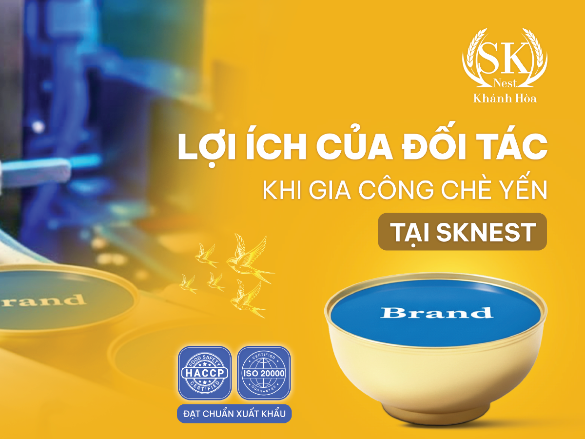 Cơ Hội Kinh Doanh Yến Sào Cho Các Doanh Nghiệp Mới Tại Việt Nam Năm 2026