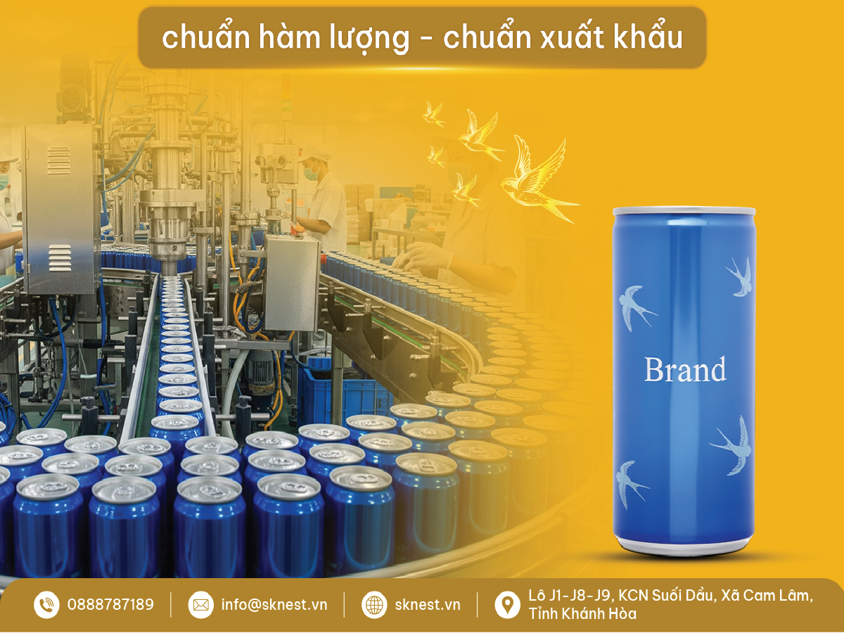 Cơ Hội Và Lợi Thế Của Thị Trường Yến Sào Việt Nam 2025 - 2026